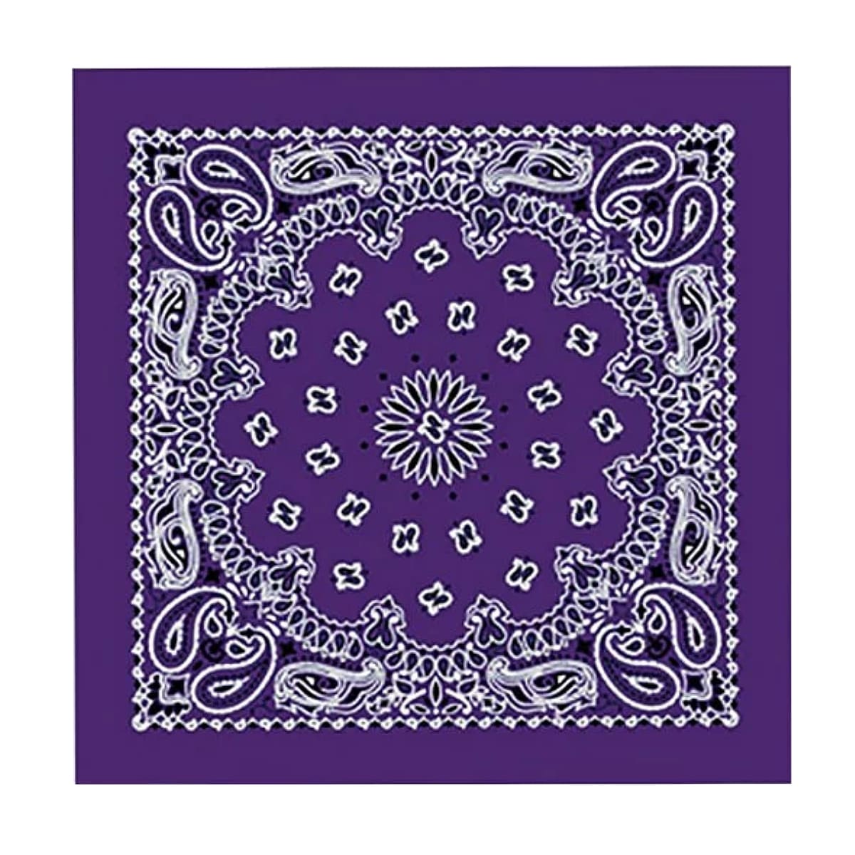 Hot Leathers BAP1002 Classic Purple Paisley Bandana