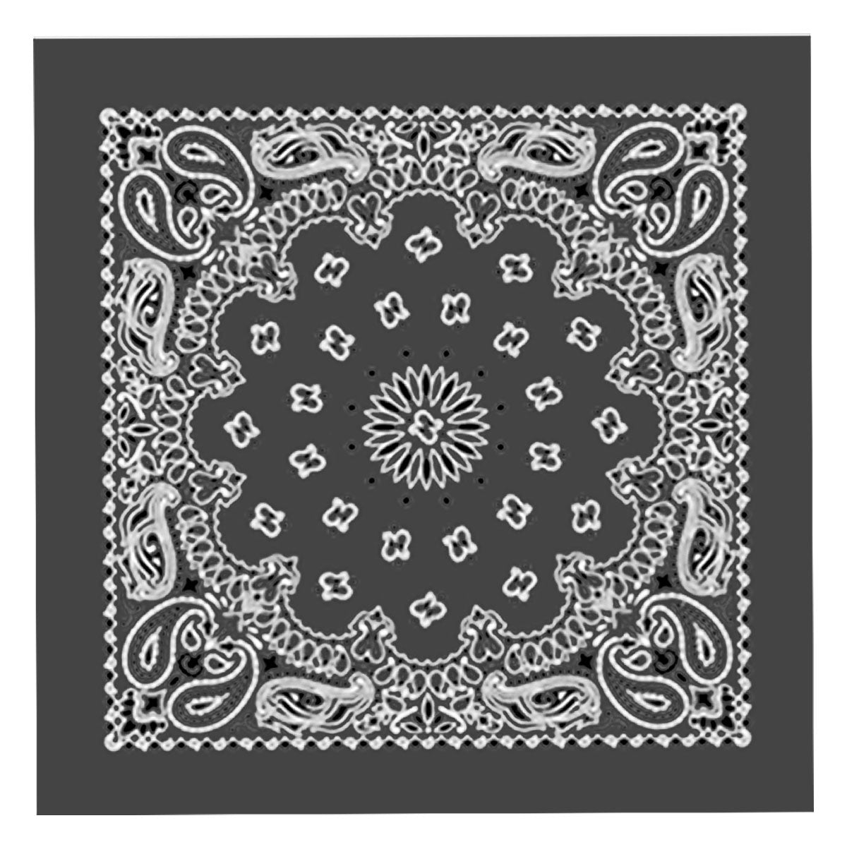 Hot Leathers BAP1006 Classic Charcoal Paisley Bandana