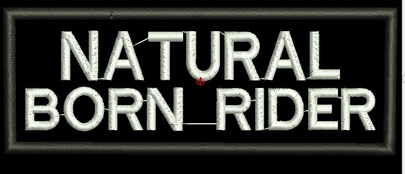 NATURAL BORN RIDER  4X1.5 - HighwayLeather