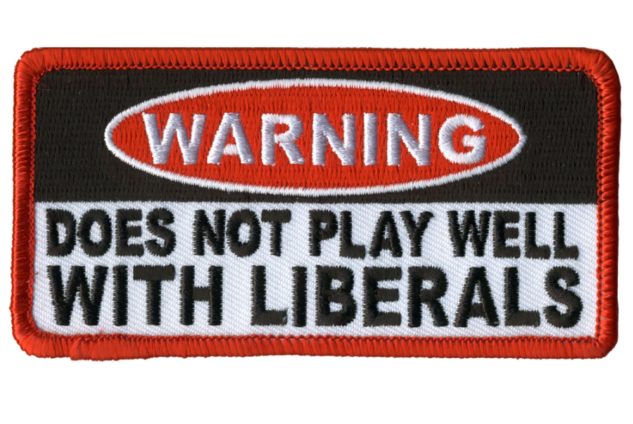 PATCH PLAY WELL LIBERALS-PPL9926 : 4"X2" - HighwayLeather