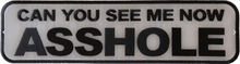 PL6557 Can You see Me Now Asshole Reflective Extra Large Patch - 15x4 inch - HighwayLeather