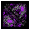 Hot Leathers Ladies Banner Heart Live Love Ride bandana featuring a colorful heart and motorcycle-themed design.