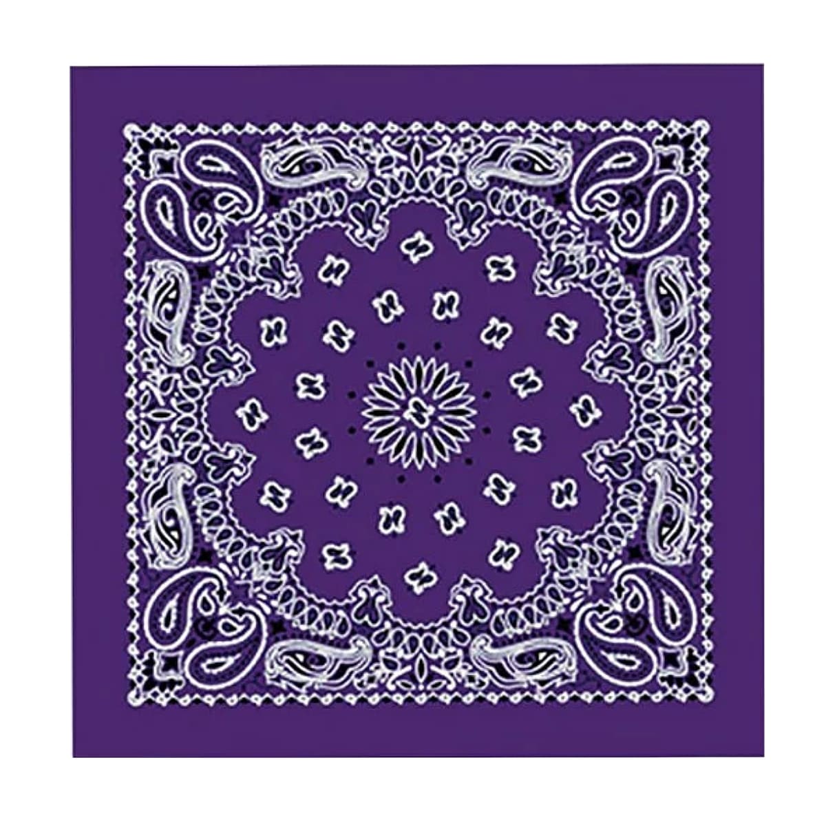 Hot Leathers Classic purple paisley bandana featuring a detailed paisley pattern, ideal for casual wear or motorcycle accessories.