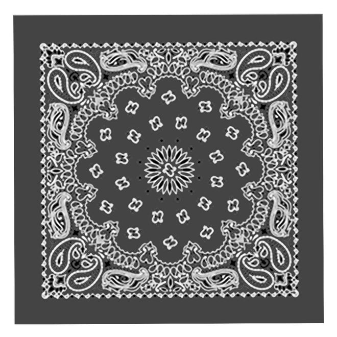 Hot Leathers Classic Charcoal Paisley Bandana featuring a detailed paisley pattern and traditional bandana style.